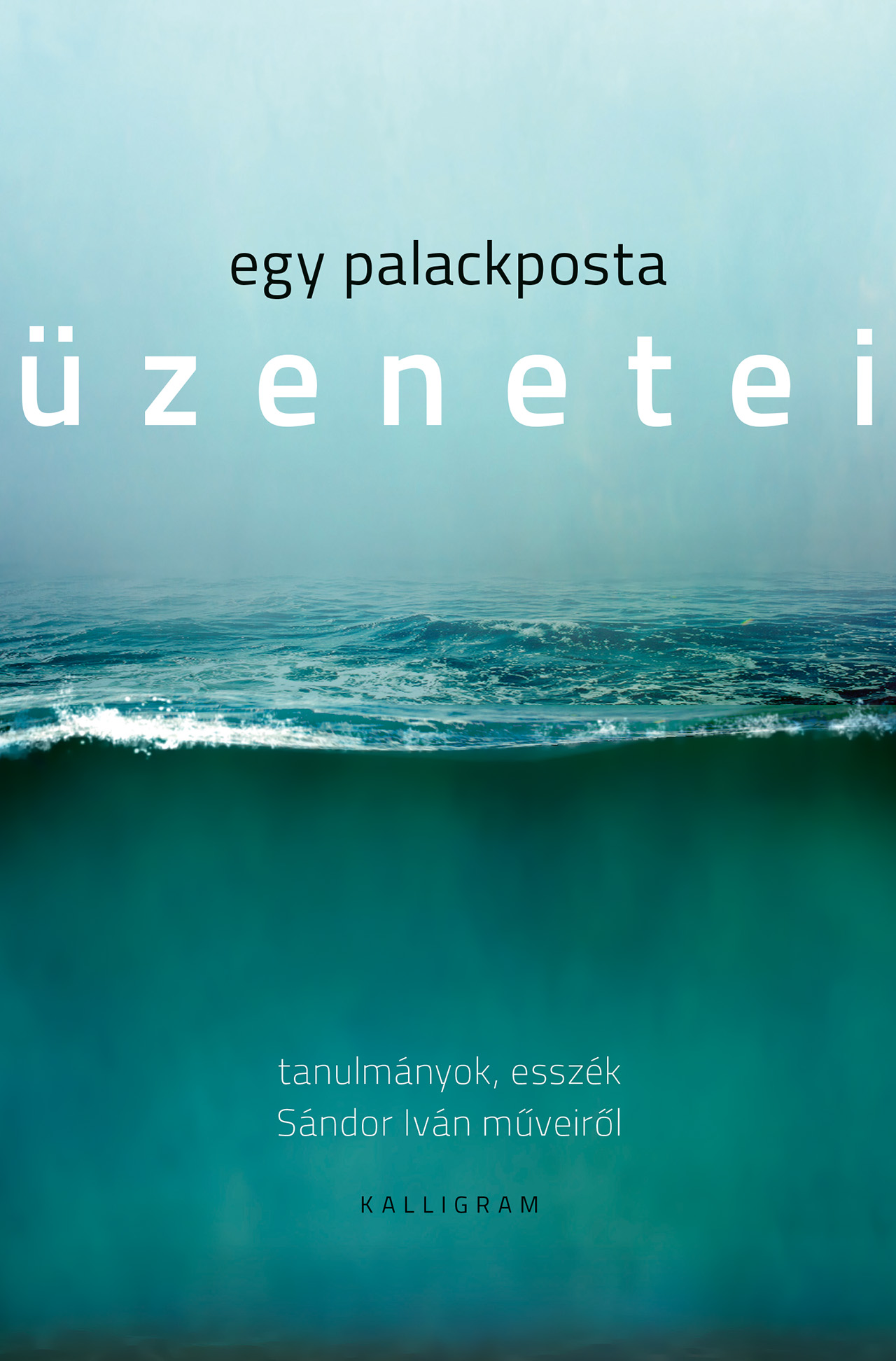 Egy palackposta üzenetei. Tanulmányok, esszék Sándor Iván műveiről