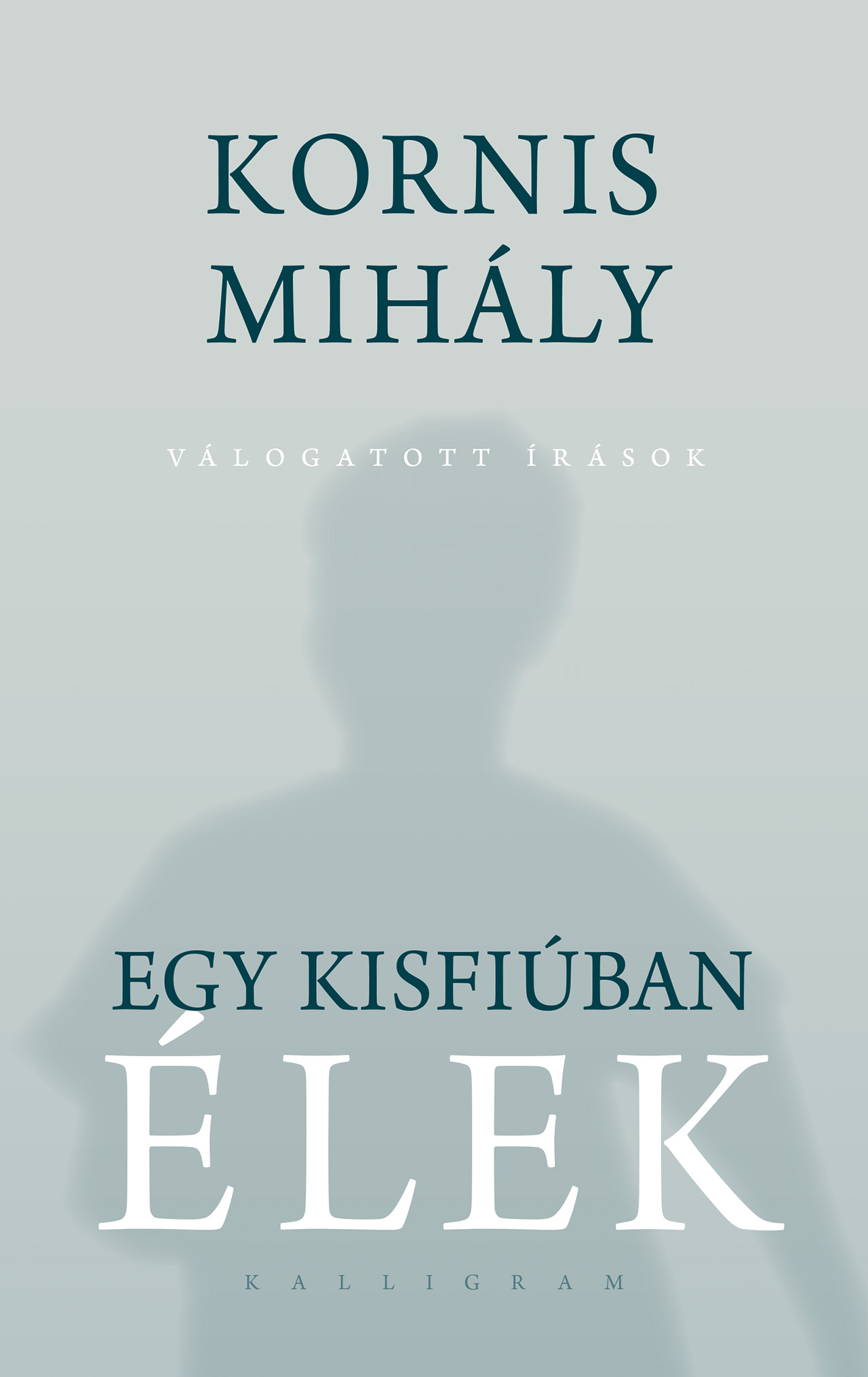 Egy kisfiúban élek
