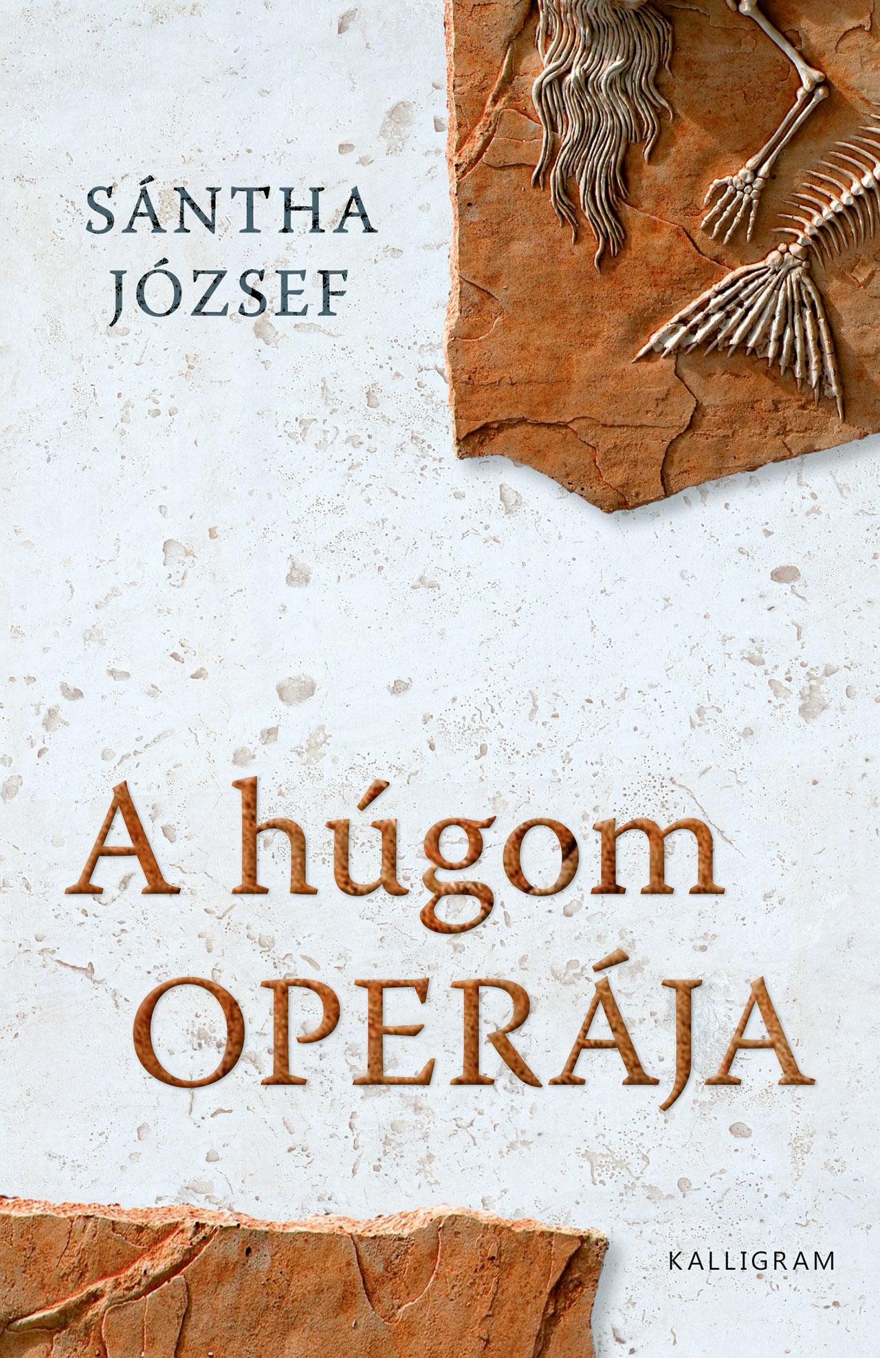 A húgom operája