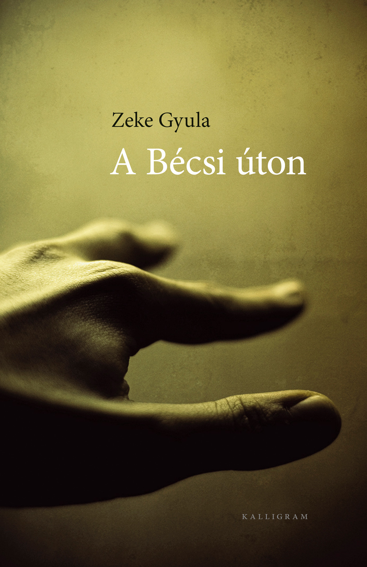 A Bécsi úton