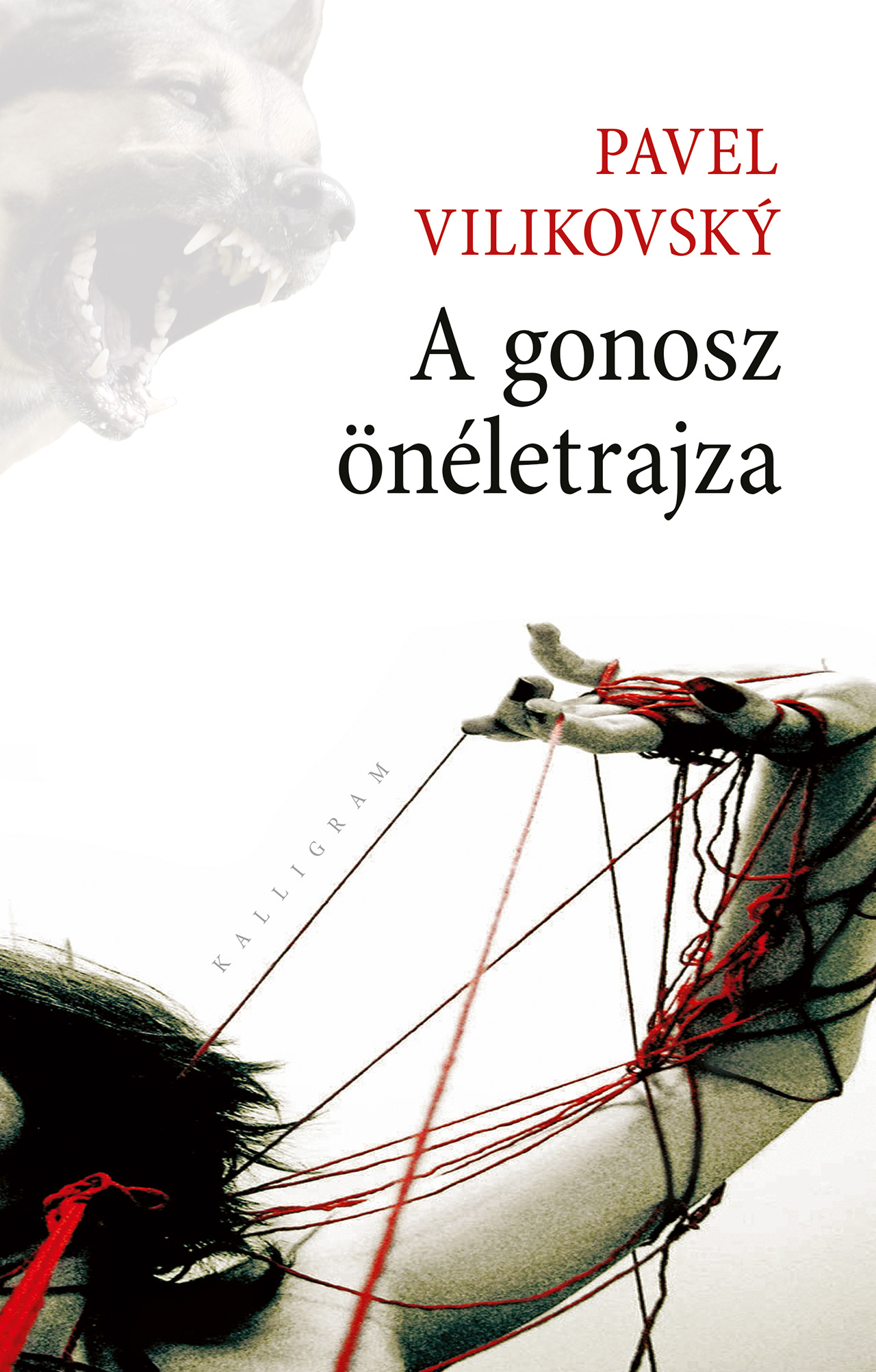 A gonosz önéletrajza