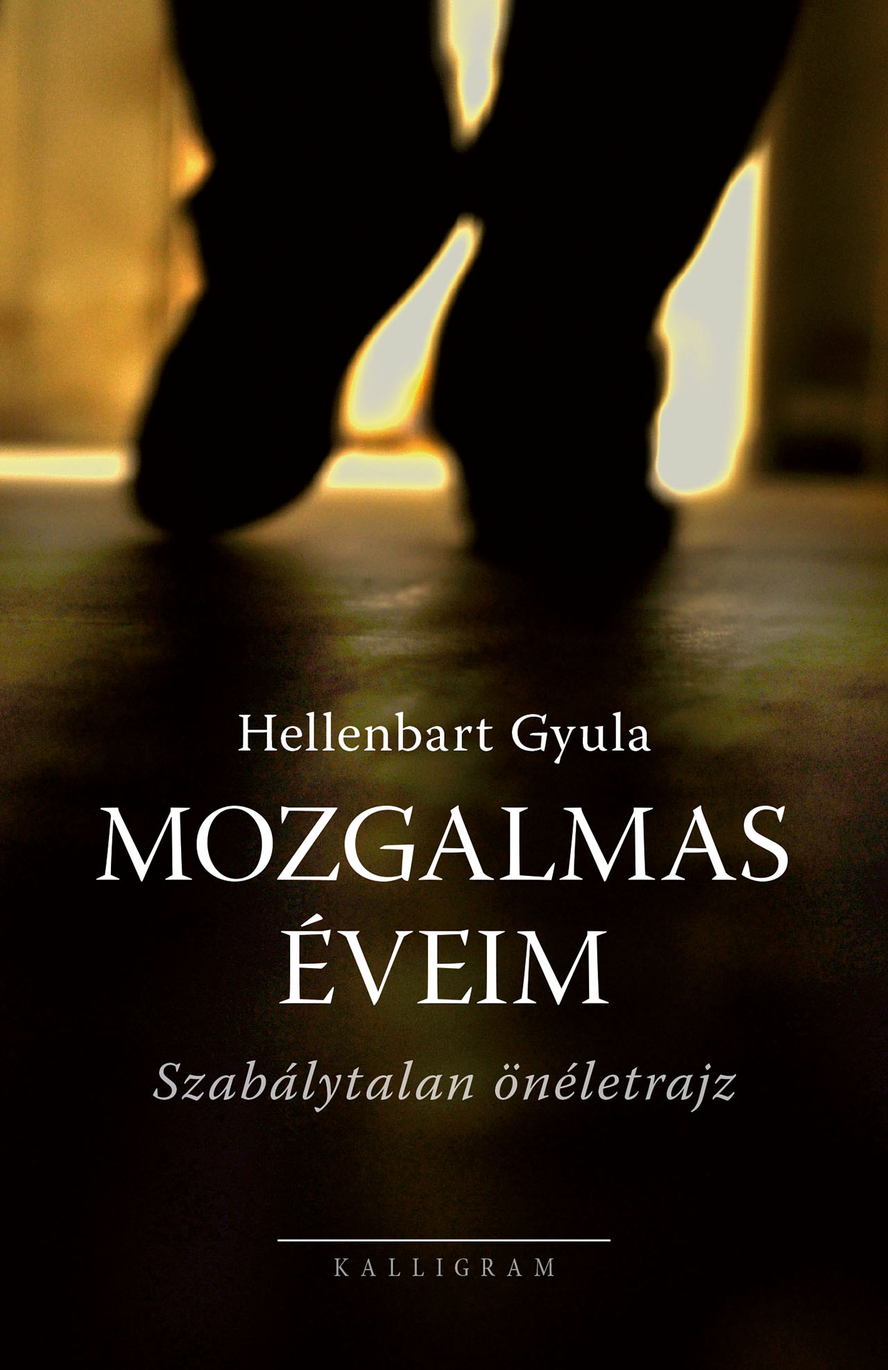 Mozgalmas éveim – Szabálytalan önéletrajz