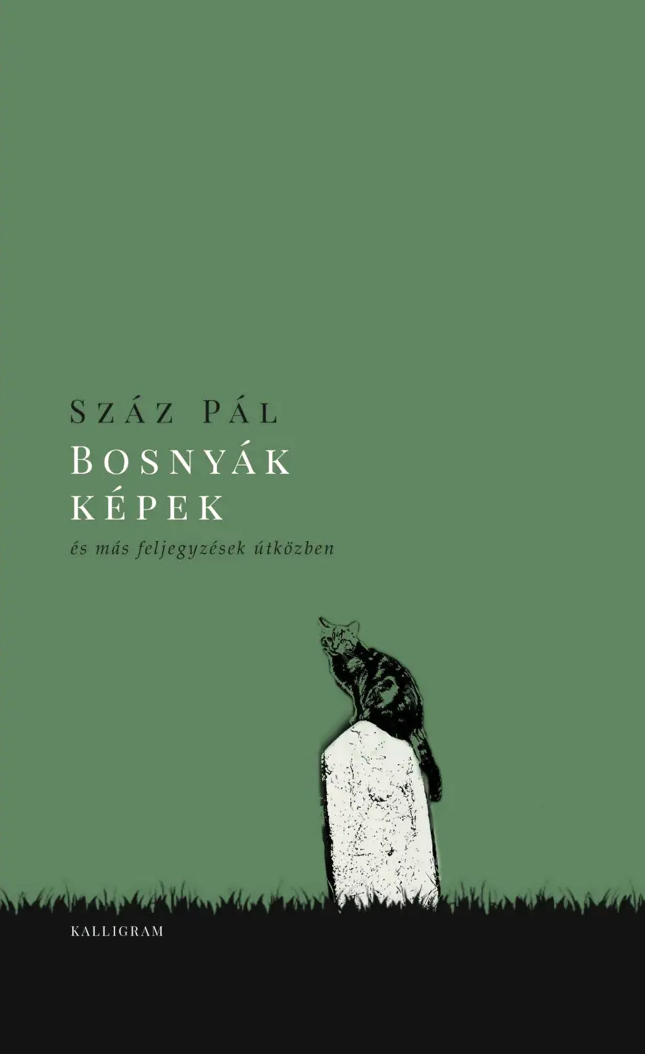 Bosnyák képek