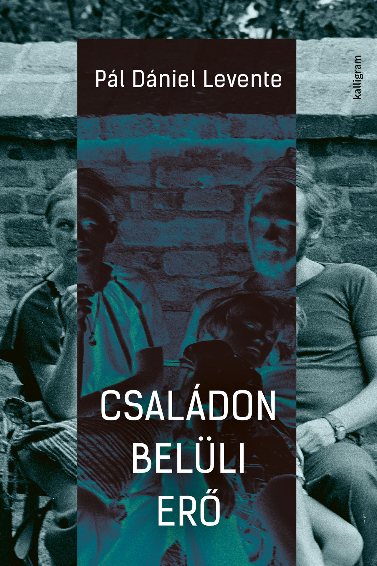 Családon belüli erő