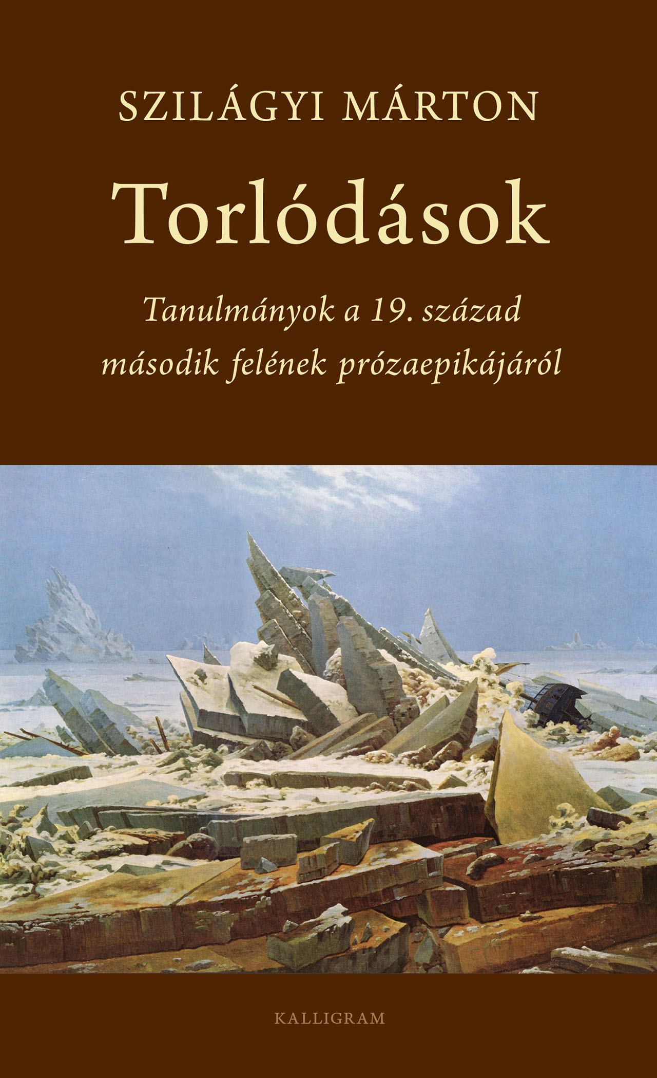 Torlódások – Tanulmányok a 19. század második felének prózaepikájáról