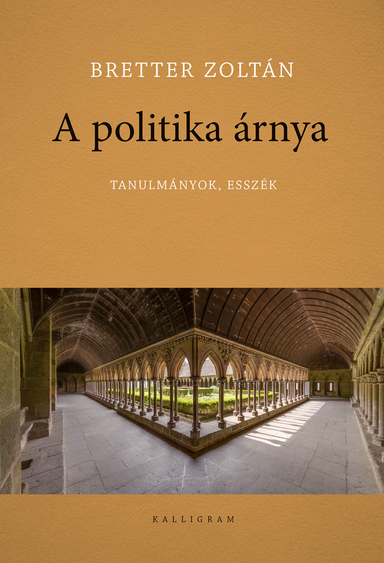 A politika árnya – Tanulmányok, esszék