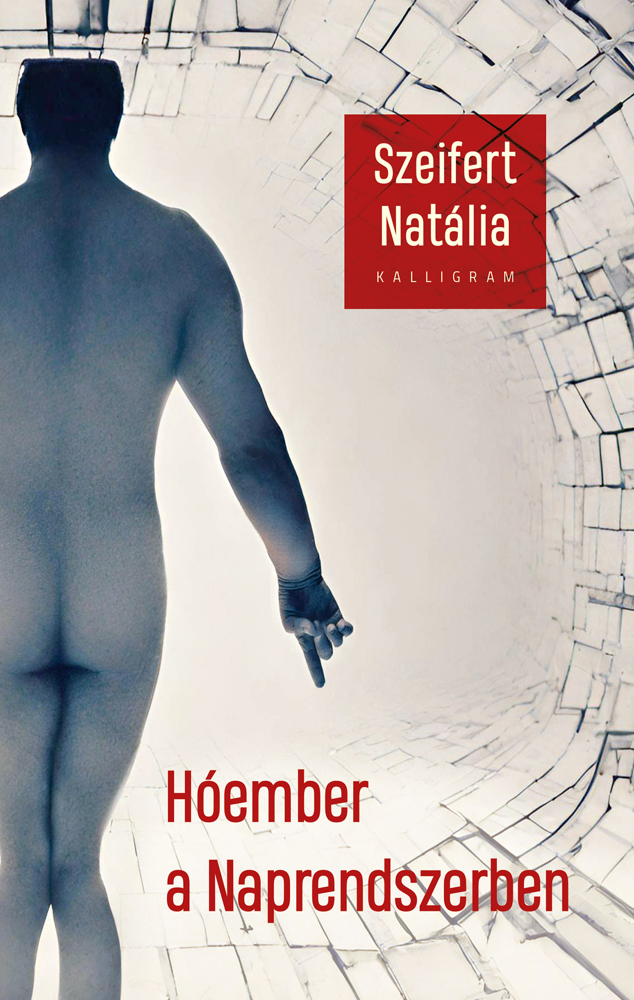 Hóember a Naprendszerben