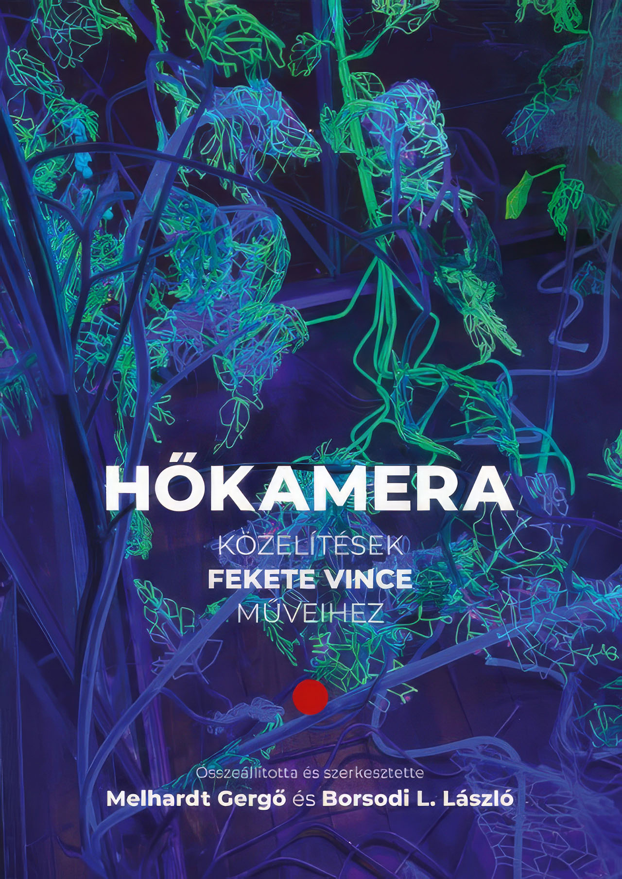 Hőkamera. Közelítések Fekete Vince műveihez